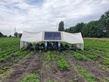 Sonstige Solar