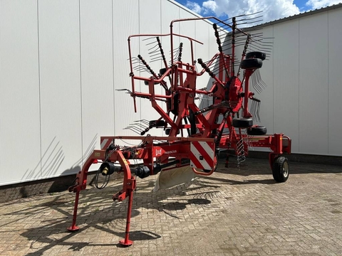 Lely Hibiscus 725 master