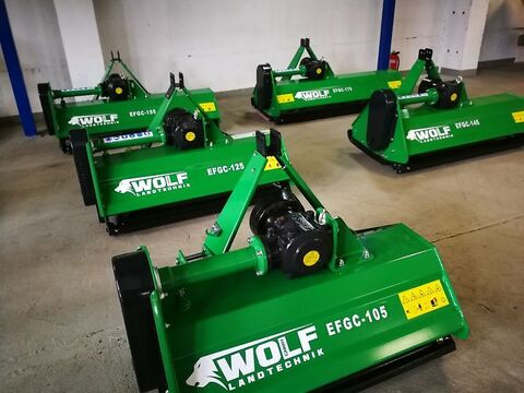 Schlegelmulcher EFGC 165 2