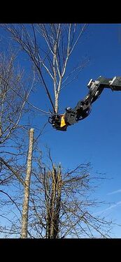 Uniforest Fällgreifer Energieholzgreifer Uniforest RK 260  2