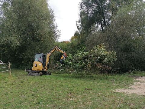 Uniforest Fällgreifer Energieholzgreifer Uniforest RK 250  3