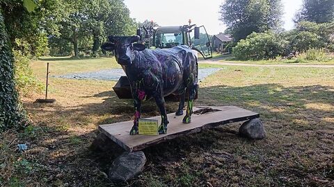 Maschio 3 m Zahnpackerwalze angeboten. Technisch