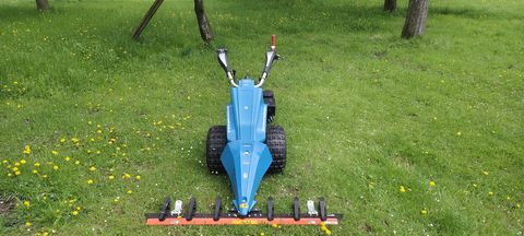 Bertolini Bertoloni Motormäher 150S