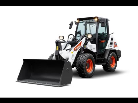 Bobcat 