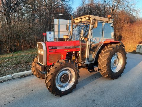 Massey Ferguson 365-4