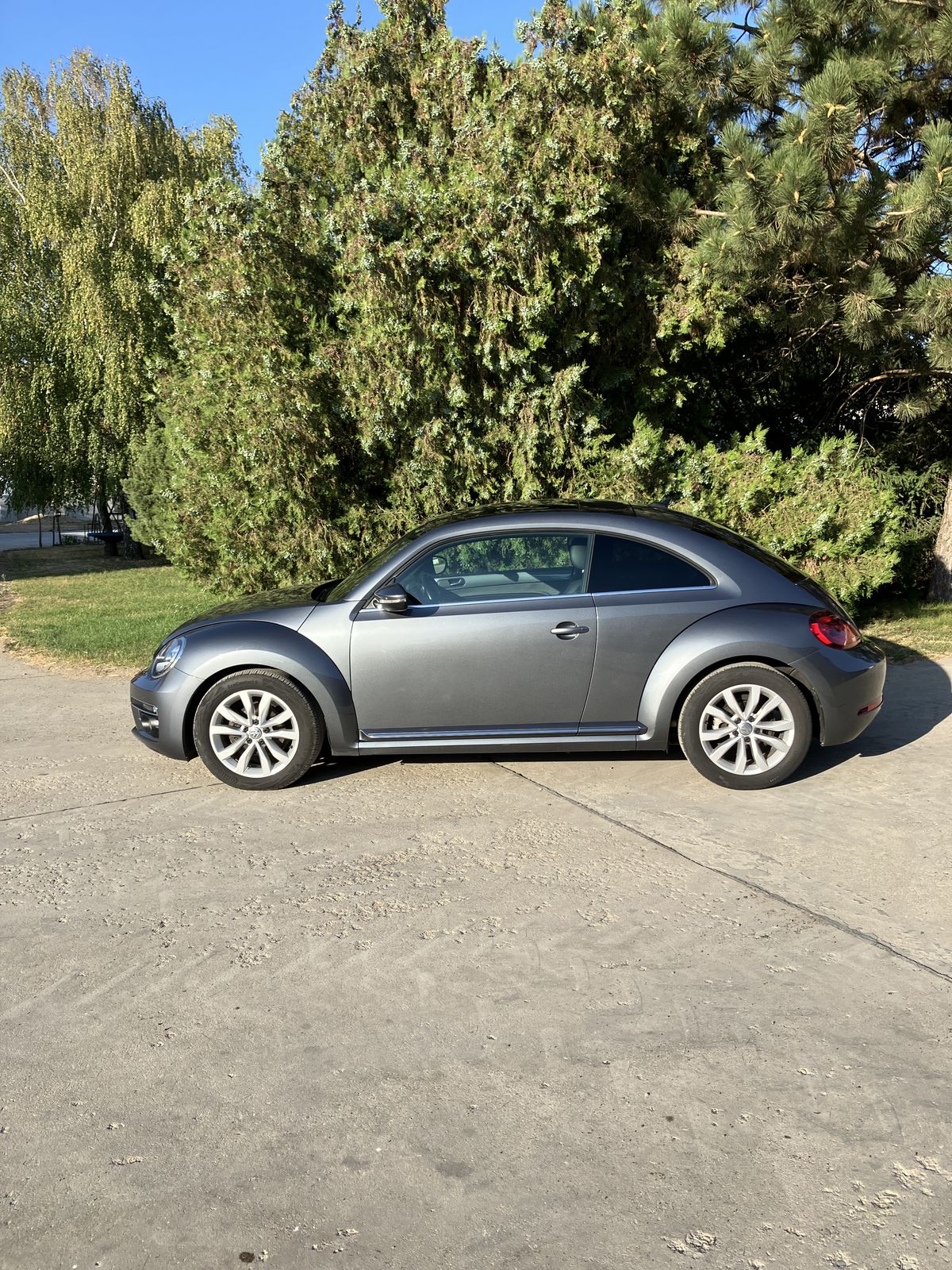 Volkswagen Beetle 1