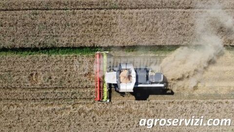 Claas TRION 750 TT TERRATRAC 2