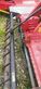 8821-065d44391425ab30c0c6e7857872b1ee-5652729
