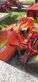 Agrimaster KLA 1600