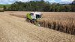 Claas Conspeed 8 - 75