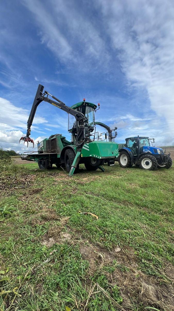 Albach Diamant 2000 2