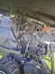 8879-b833657ef5a67746e39e2b74744b8544-5943054