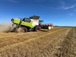 CLAAS TRION 730