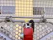 9052-d273e880a3964062779906418b3fb232-5717328