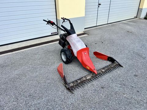Reform Motormäher 6