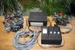 Pozostałe Fire Salamander Medium with 3 potentiometers