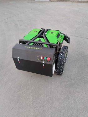 Hofman Ruby BP500 plus