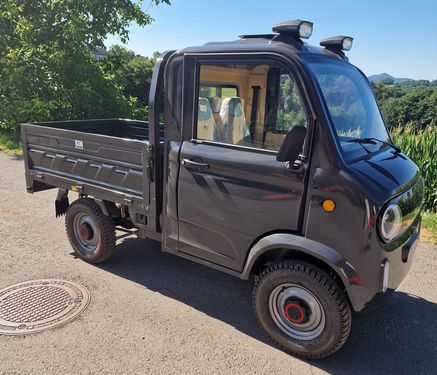 Sonstige Elektro Auto / Pick-up