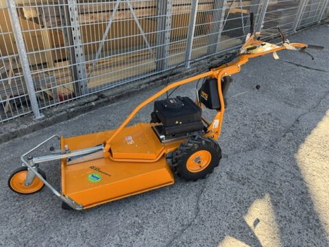 AS-Motor AS 65 2T ES
