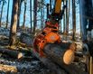 Sonstige Holzgreifer Holzzange Festanbau Baggeranbau 