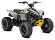 Can-am Renegade 2x4 110-4ST GY Int23 KINDER ATV 