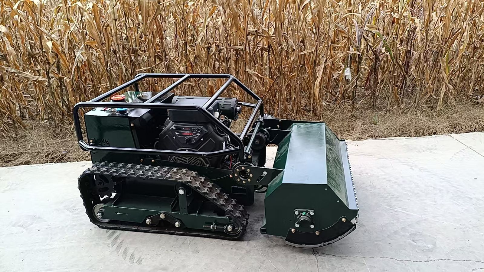 WZ 1000Pro V2 RC Raupen Mulcher 1