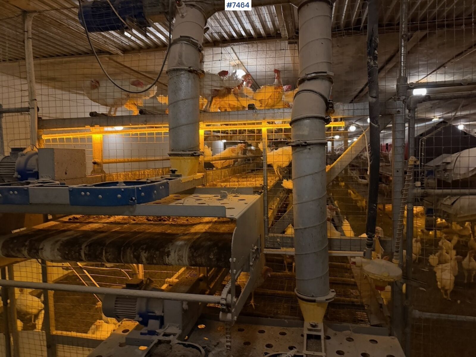 Standard Eggproduksjonsanlegg 2