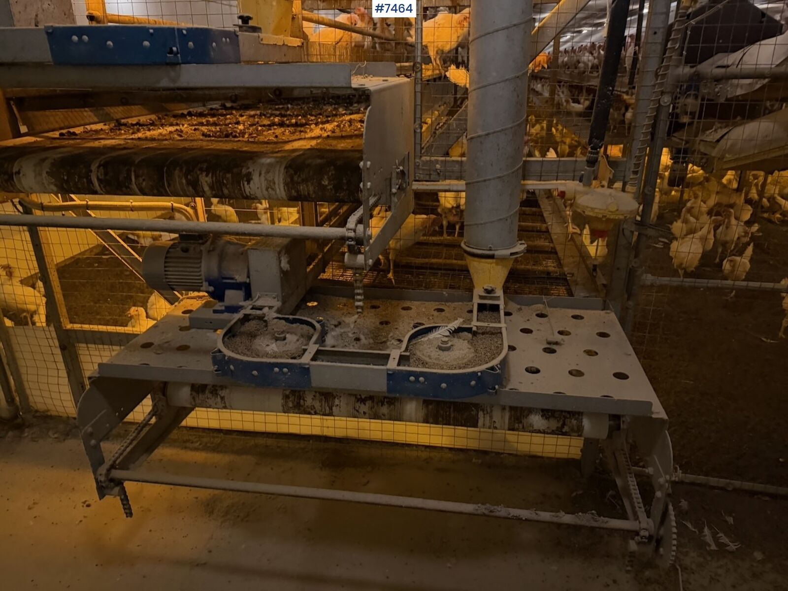 Standard Eggproduksjonsanlegg 3