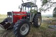 Massey Ferguson 375