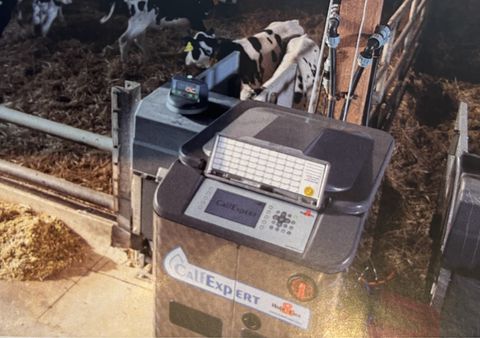 Holm&Laue Holm und Laue