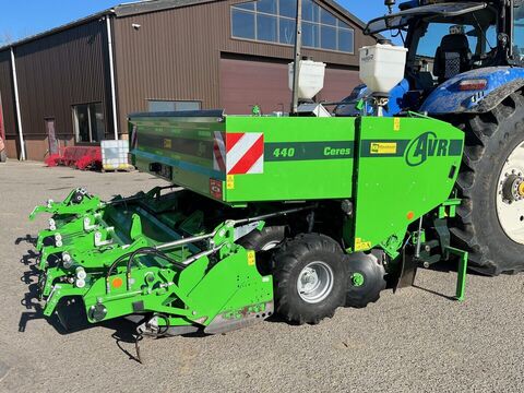 Sonstige Ceres 440