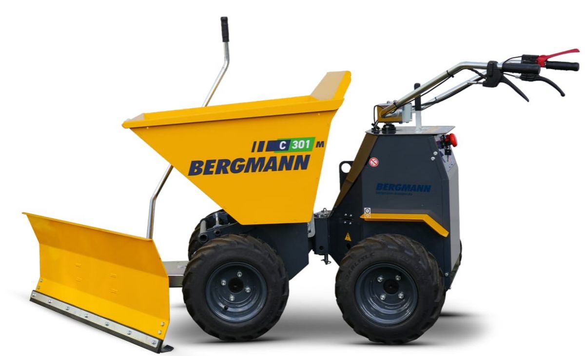 Bergmann Bergmann C301M 2