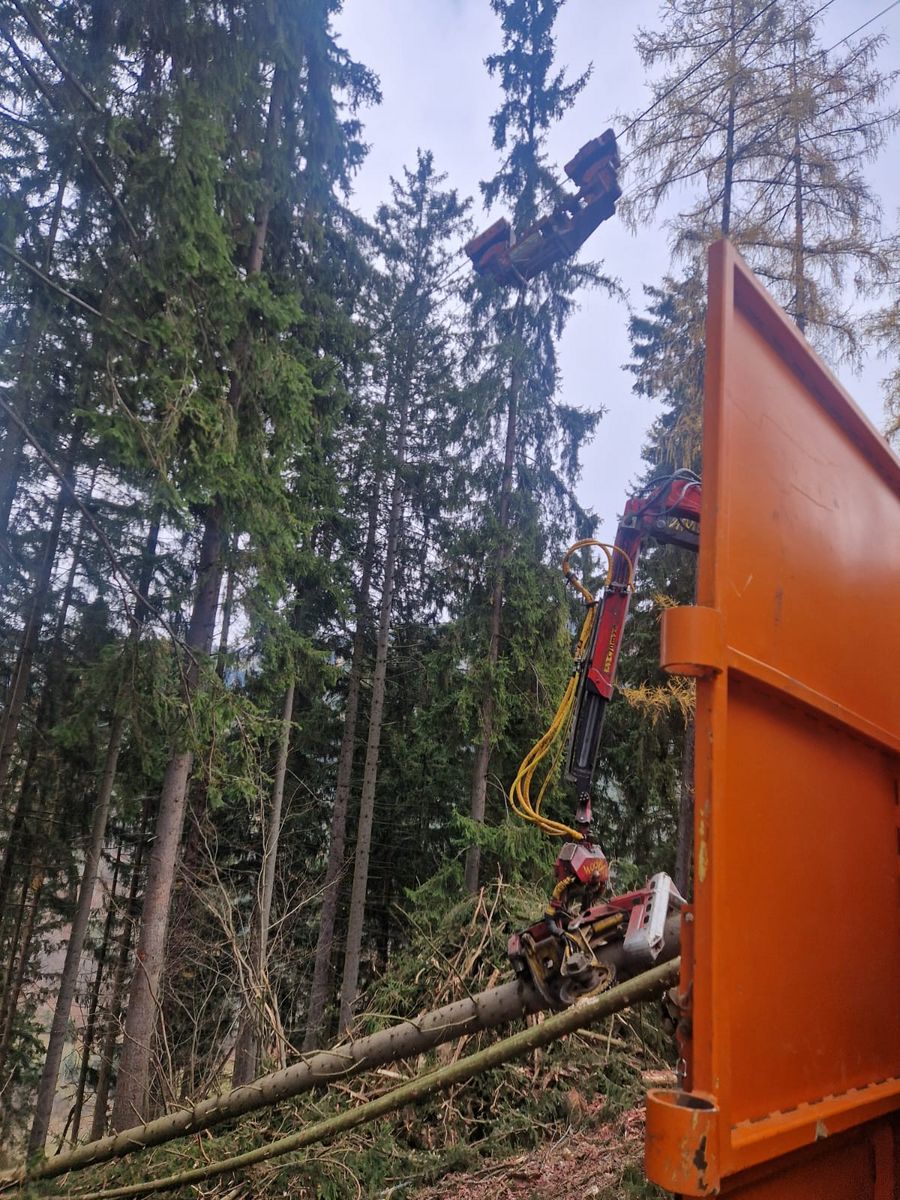 MM Forsttechnik MM Syncrofalke 3t  2