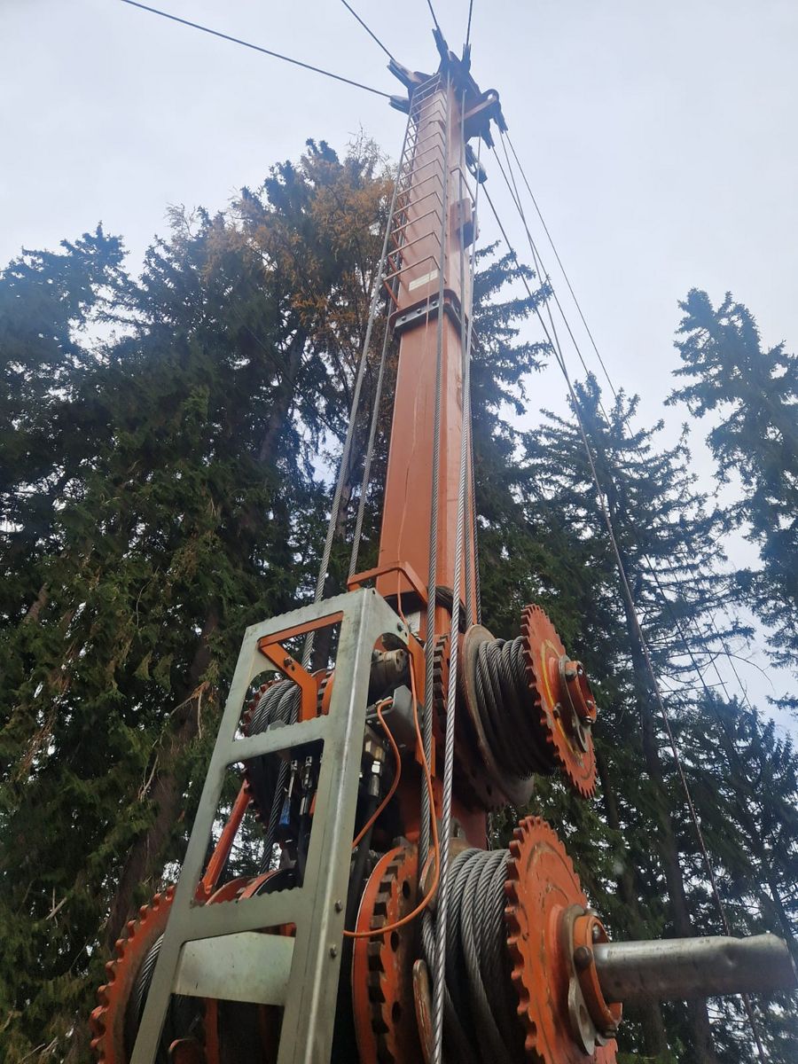 MM Forsttechnik MM Syncrofalke 3t  3