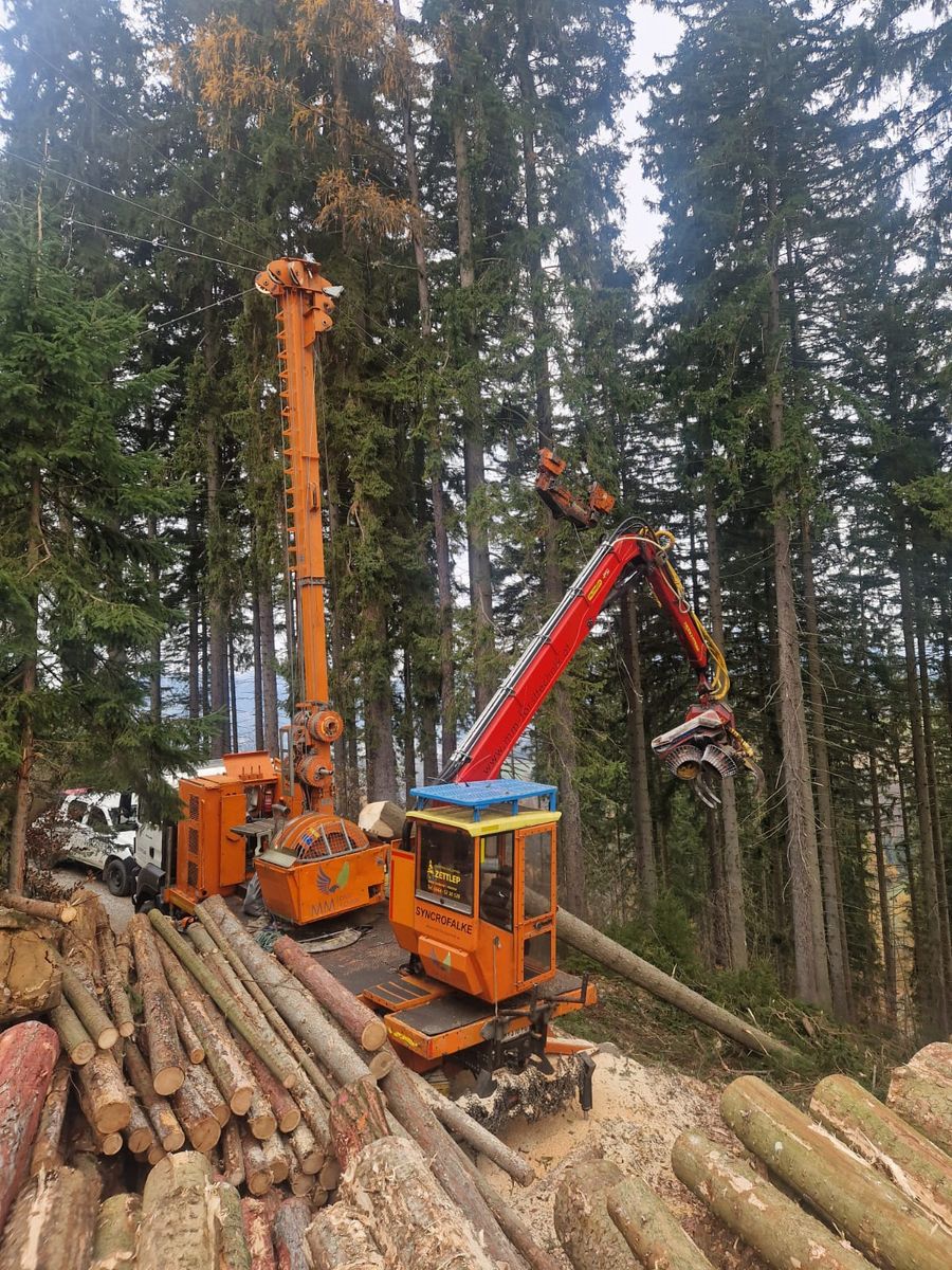 MM Forsttechnik MM Syncrofalke 3t  1