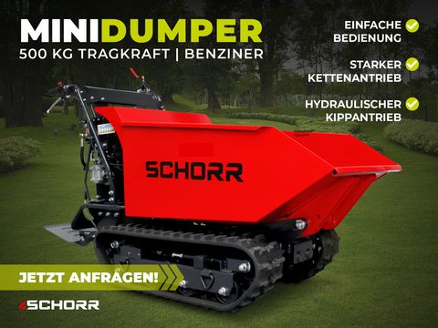 Sonstige SCHORR Minidumper RR500DHKA2 PRO 500kg Mulde mit