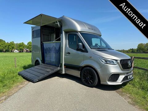 Mercedes-Benz Sprinter 315 AMG 2-paards paardenvrachtwagen B-r