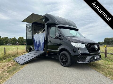 Mercedes-Benz Sprinter 315 AMG 2-paards paardenvrachtwagen B-r