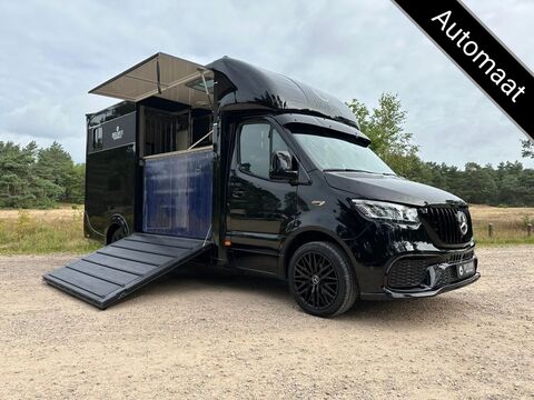 Mercedes-Benz Sprinter 319 AMG 2-paards paardenvrachtwagen B-r