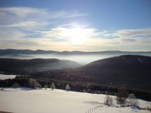 Wintermorgen in der Waldheimat