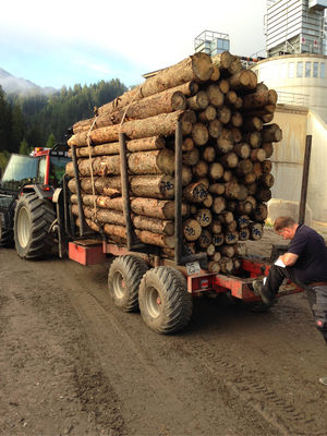 Holz transportieren