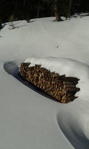 Holz im Schnee