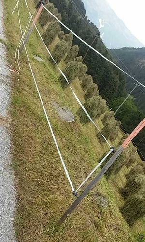 Hifla in Tirol