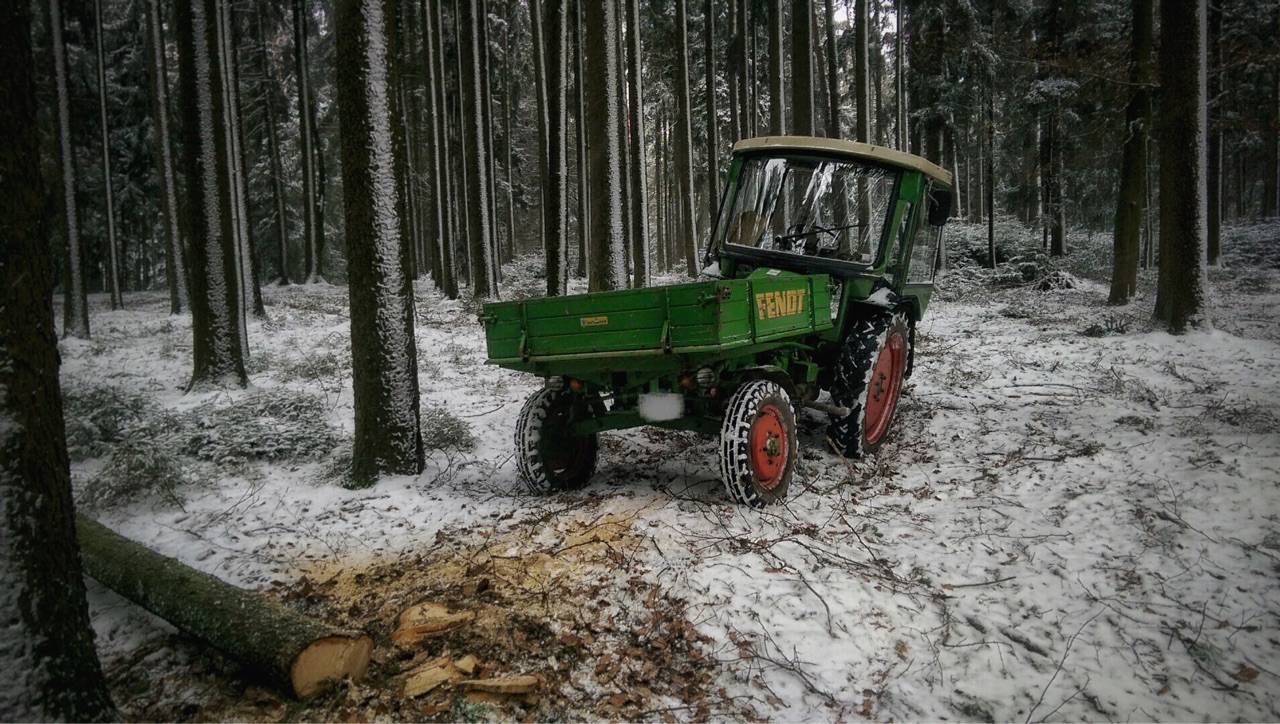 Waldarbeiten