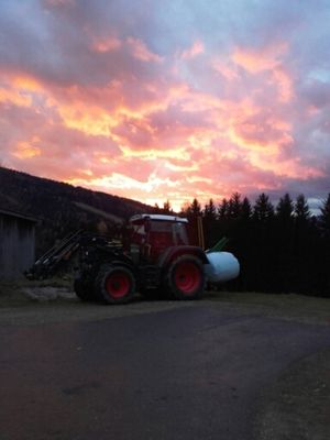 Fendt 310 im Sonnenuntergang