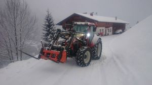 Lindner im schnee
