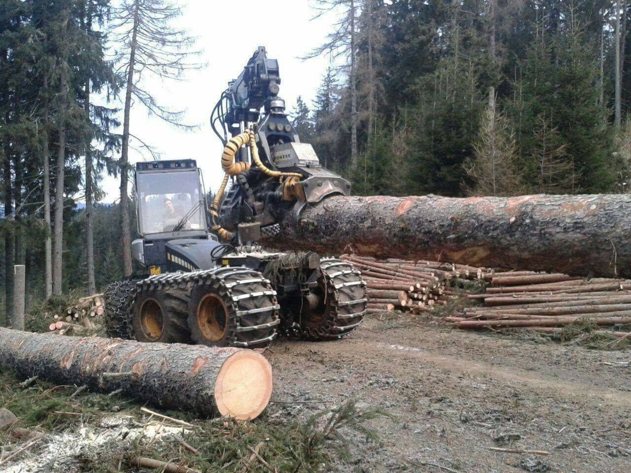 Holzarbeiten Dein Schönstes Sommer Foto Fotowettbewerb