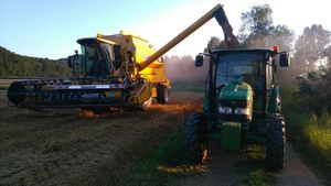 Weizen dreschen 2016 mit John Deere und New Holland 