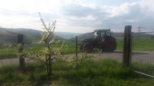 Obstblüte und Traktor