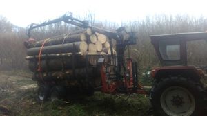 Holztransport mit Steyr 650 Power 